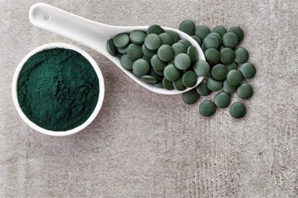 Tảo xoắn SPIRULINA JAPAN ALGAE
