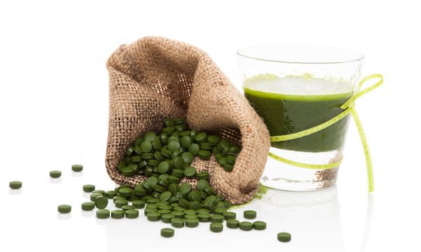 Tảo xoắn SPIRULINA JAPAN ALGAE