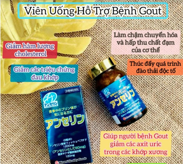 Viên uống hỗ trợ điều trị Gout MINAMI