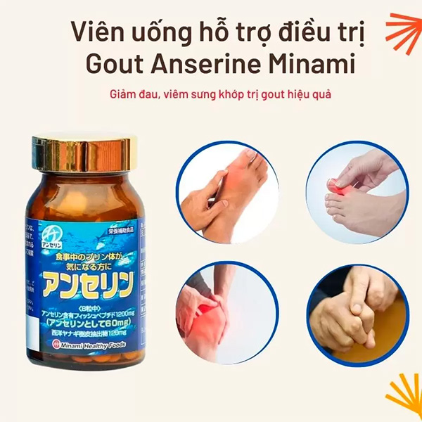 Viên uống hỗ trợ điều trị Gout MINAMI