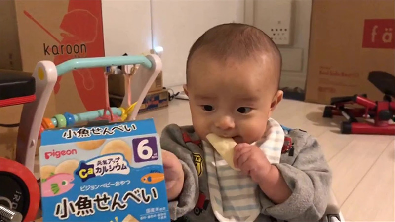 Bánh ăn dặm bổ sung canxi cá mòi 6 tháng PIGEON