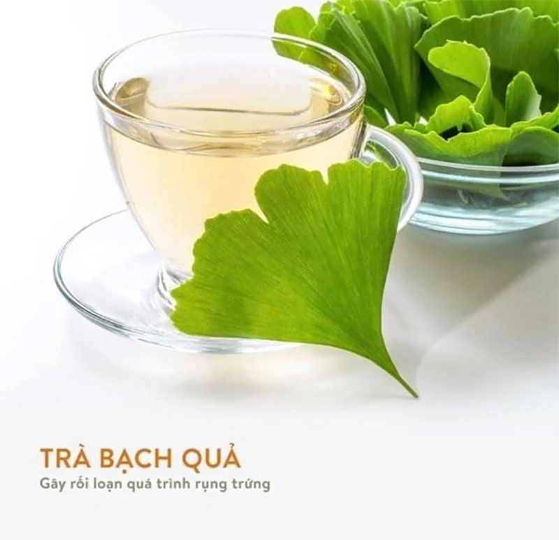 Trà lá bạch quả bổ não ORIHIRO