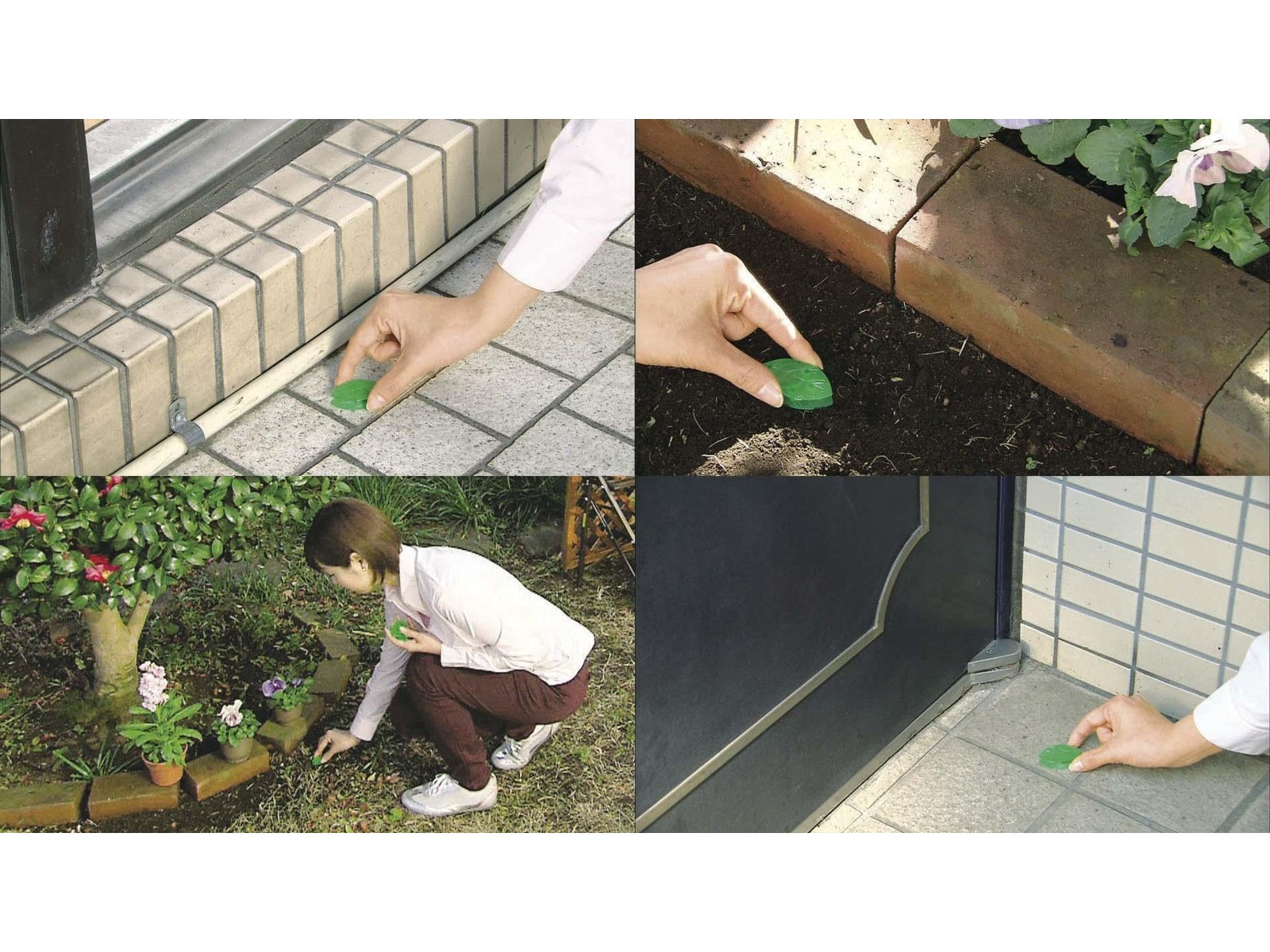 Viên diệt kiến Nhật Bản set 10 viên FUMAKILA