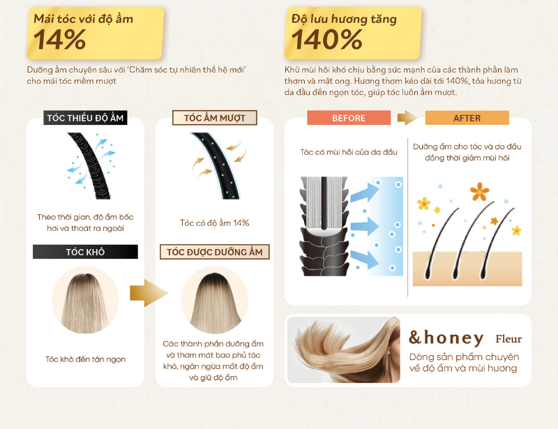Dầu gội xả dưỡng ẩm hương hoa Mộc vàng và mật ong HONEY