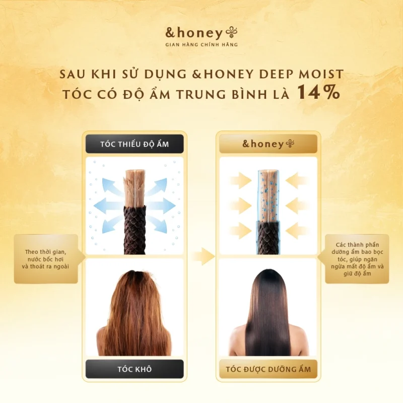 Dầu gội xả dưỡng tóc chuyên sâu Deep Moist HONEY